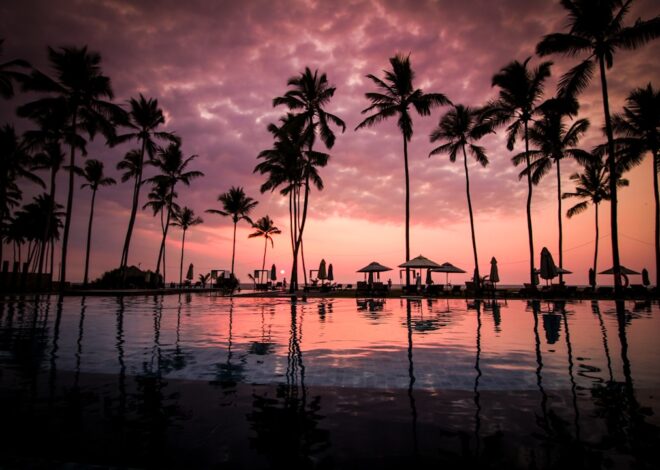 Discovering the Magic of Dreams Cozumel